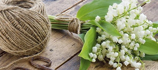 Muguet du premier mai- bouquet-ficelle