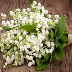 Muguet 5