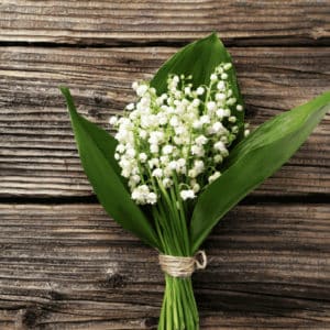 muguet-1