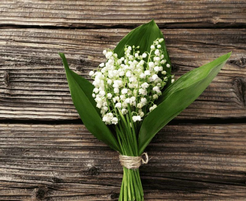 Bouquet de muguet