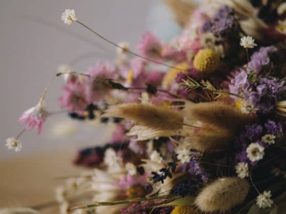 fleurs séchées arrangements floraux