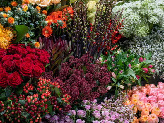 Assortiment de fleurs