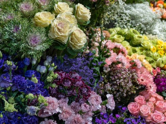 Assortiment de fleurs