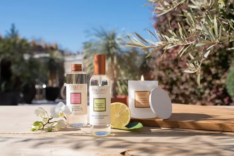 Scented candles from "Collines de Provence"