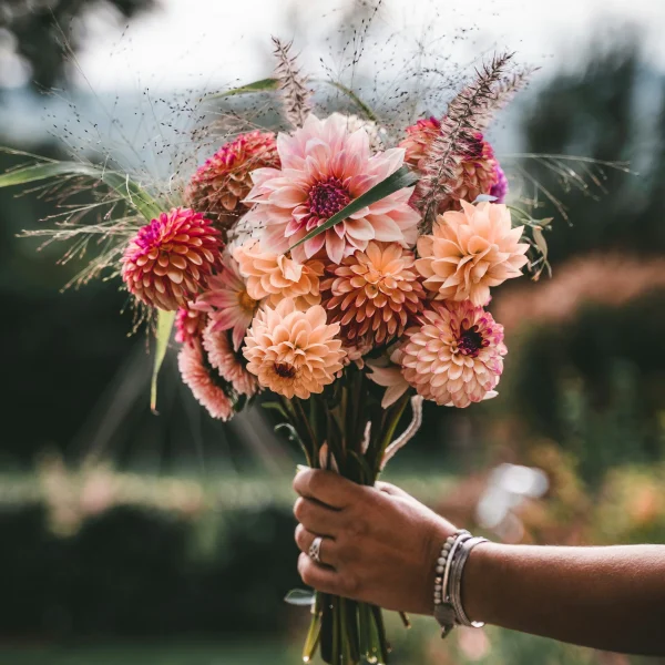 Bouquet de dahlias