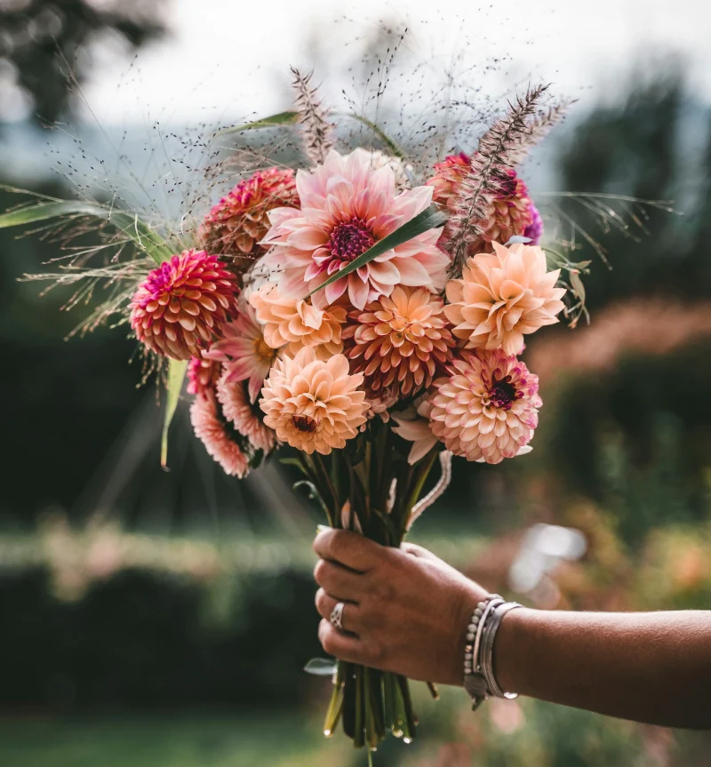 Bouquet de dahlias