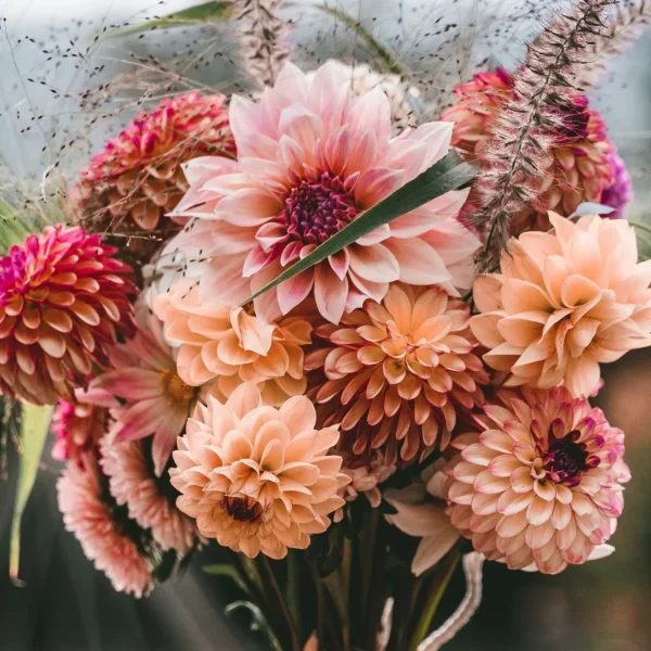 Bouquet de dahlias