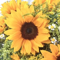 Le bouquet de saison Monsieur Fleur composé de Tournesols
