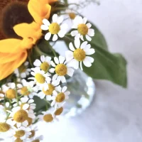 Le bouquet de saison Monsieur Fleur composé de Tournesols