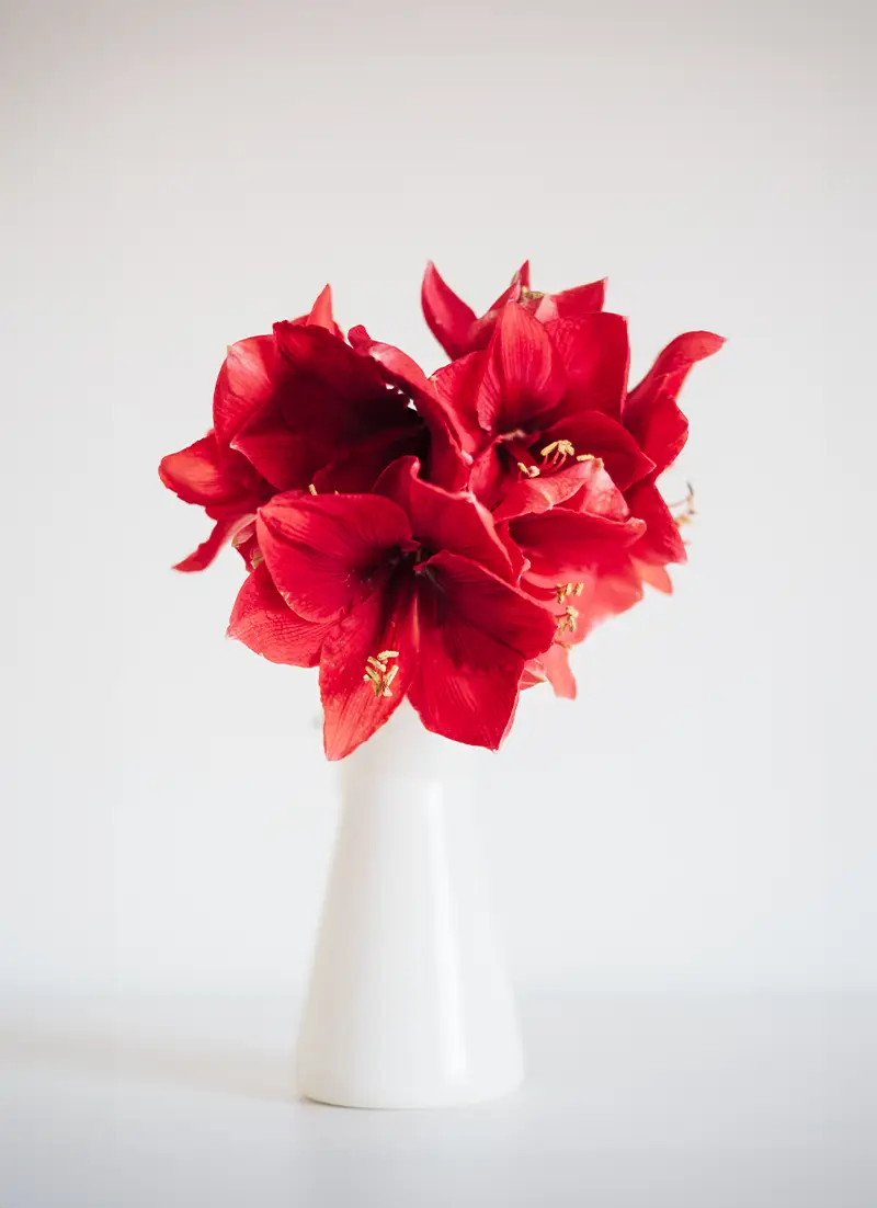 Kerstbloemstuk