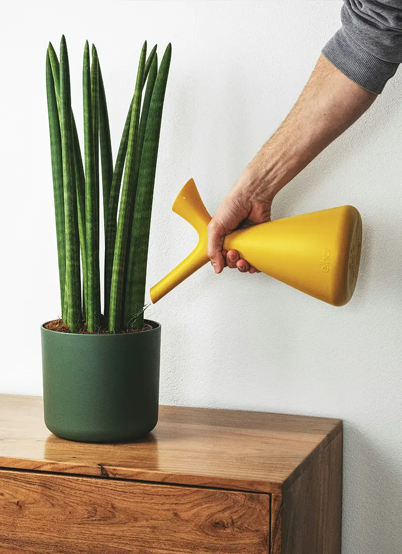 Personne qui arrose des plantes vertes