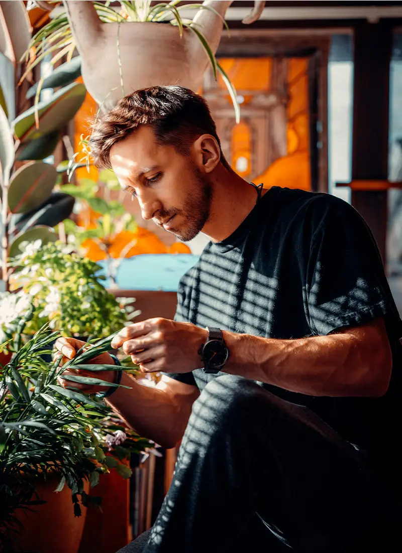 Fleuriste en train d'entretenir des plantes vertes