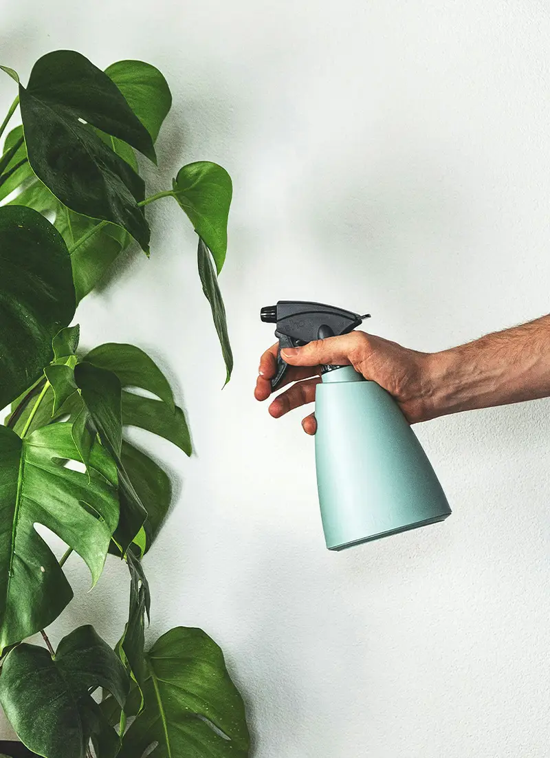 Personne qui arrose des plantes vertes