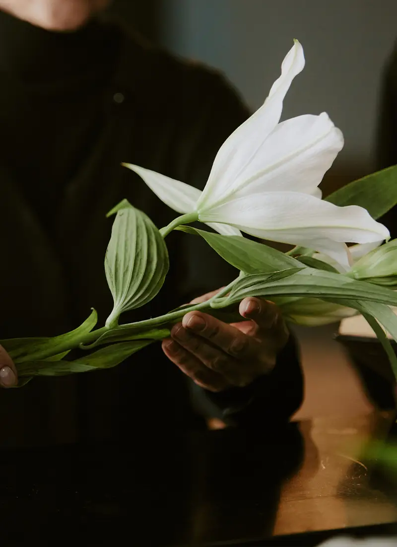 Fleur blanche de deuil