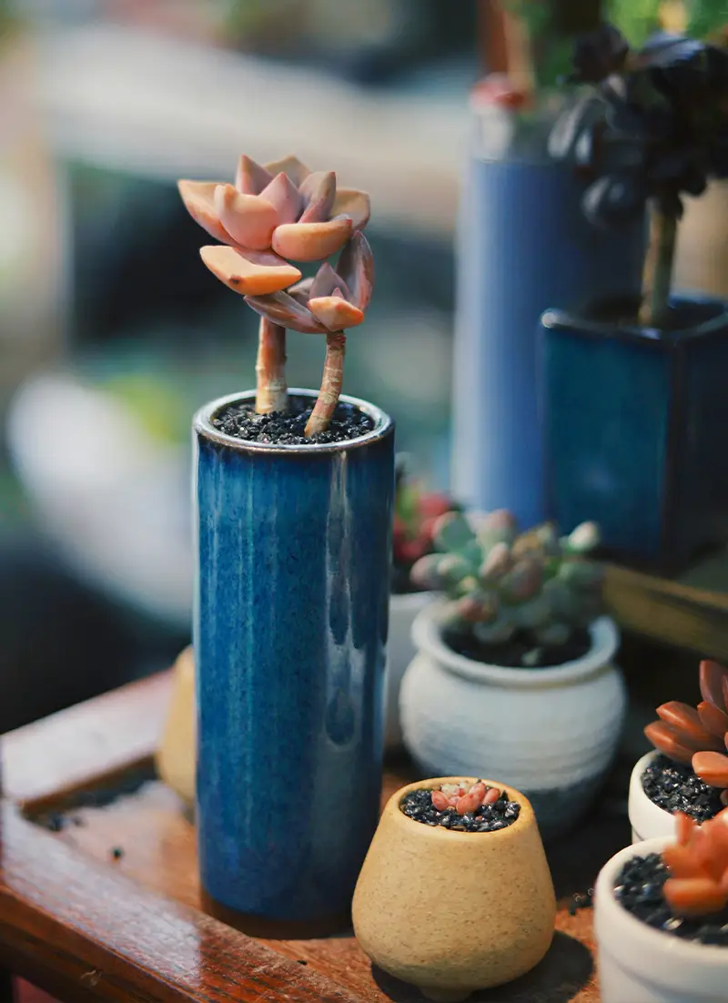 Cache-pot en céramique