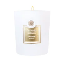 Parfumkaarsen van "Collines de Provence" – Monsieur Fleur